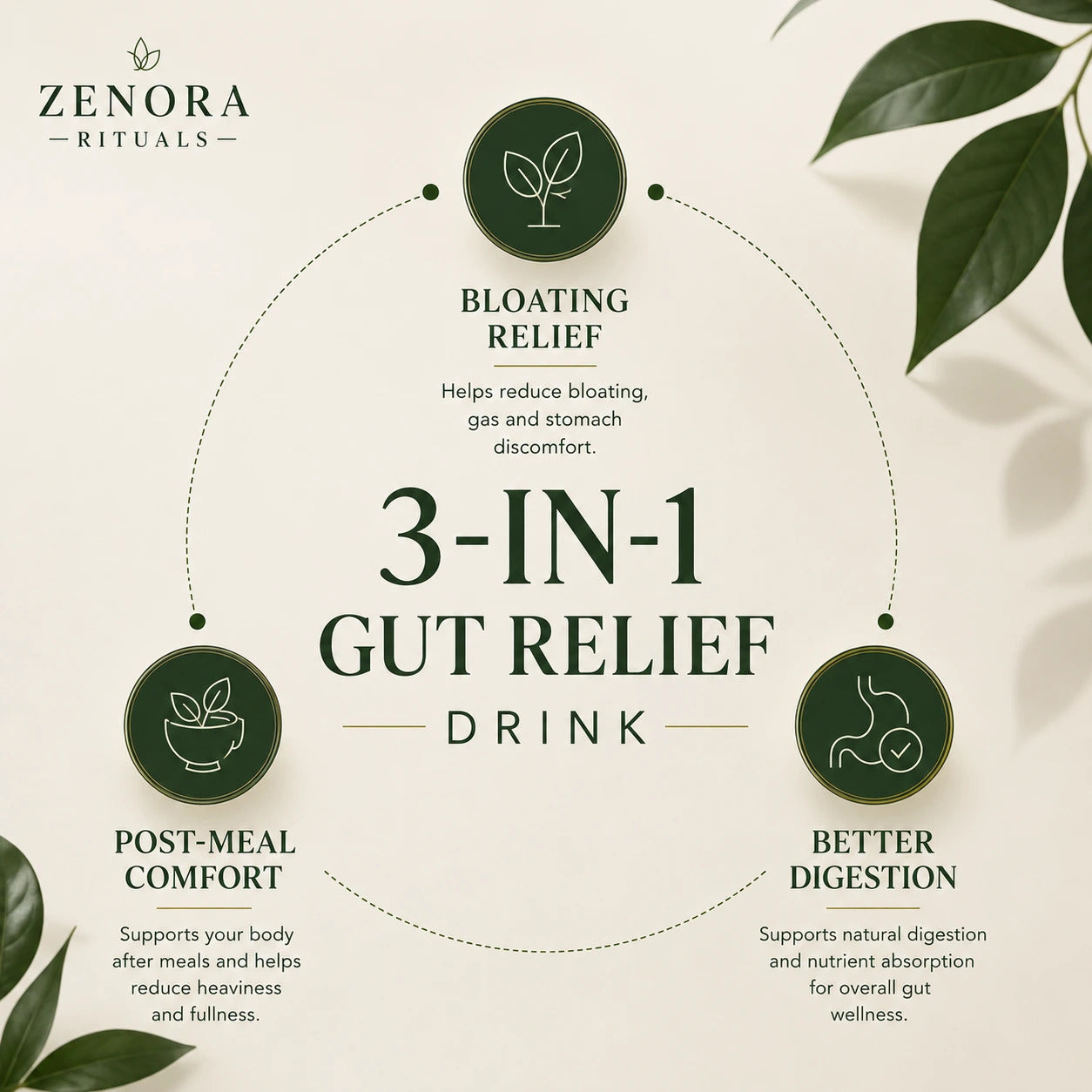 Zenora 3-in-1 Gut Relief Drink