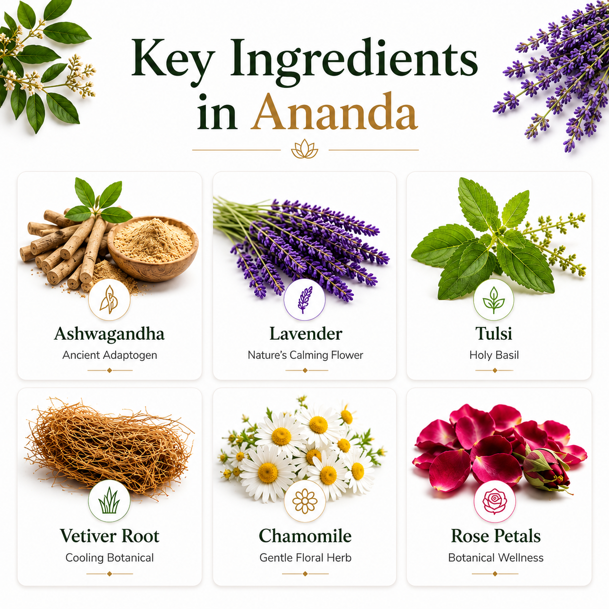 Zenora Ananda Tea